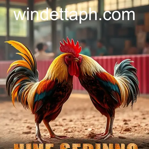 The Rise of Online Sabong: Inside Windetta Casino’s Influence